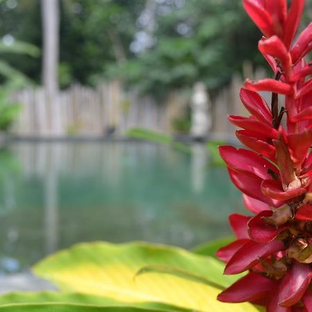 Suka'S House Bed & Breakfast Ubud Extérieur photo