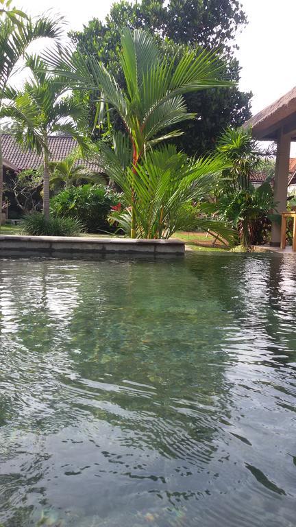 Suka'S House Bed & Breakfast Ubud Extérieur photo